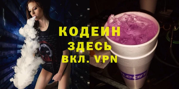 индика Армянск