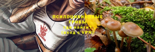 индика Армянск