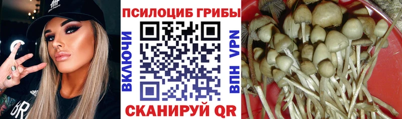 Псилоцибиновые грибы мицелий  Нюрба 